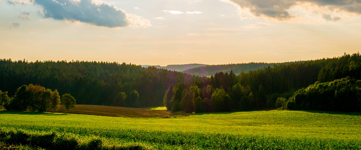 Chalets im Frankenwald